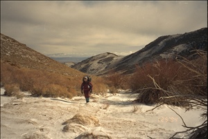 9400 1255 co etcIMG0048.jpg